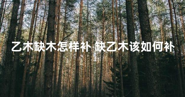 乙木缺木怎样补 缺乙木该如何补